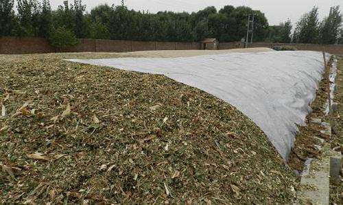 關(guān)注丨珠穆朗瑪峰成了一座“垃圾峰”？