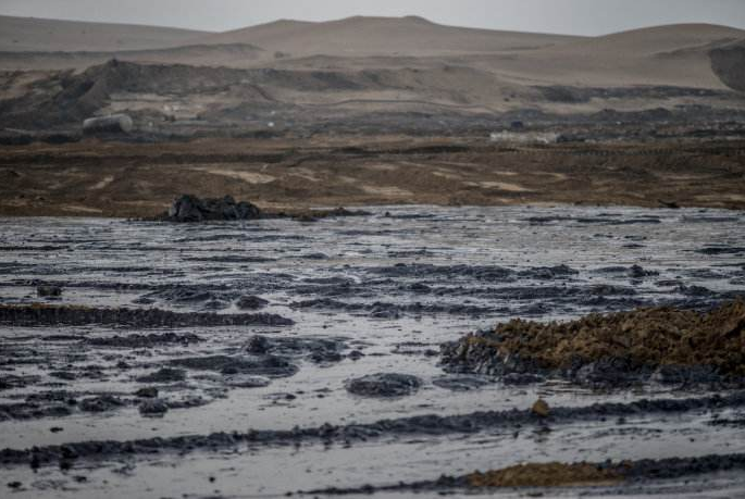 關(guān)注丨環(huán)?？萍迹捍蜷_(kāi)土壤修復(fù)5萬(wàn)億市場(chǎng)的金鑰匙